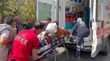 Fındık işçilerini taşıyan minibüs uçuruma yuvarlandı: 3'ü ağır 22 yaralı