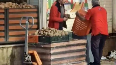 Kasa kasa patatesi çöpe döktüler