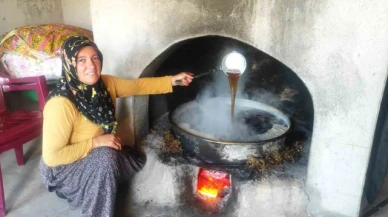 Lezzeti topraktan gelen şifa kaynağı pekmezin zahmetli yolculuğu başladı