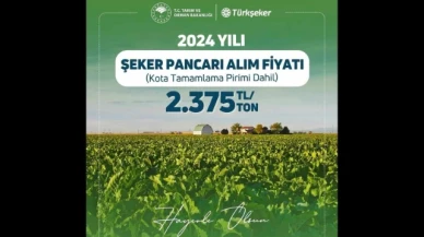 Şeker Pancarı Alım Fiyatı Açıklandı!
