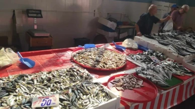 Sezon bereketli başladı