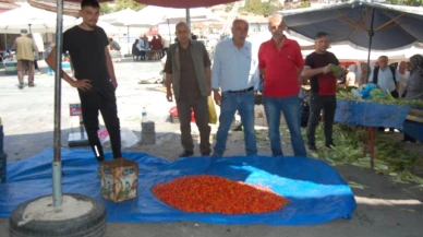 Şifa Deposu Kuşburnu Büyük Rağbet Görüyor!