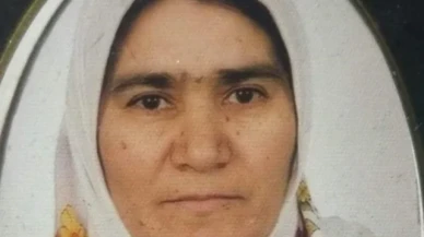 Yolun karşısına geçmek isteyen kadına hafif ticari araç çarptı: 1 ölü