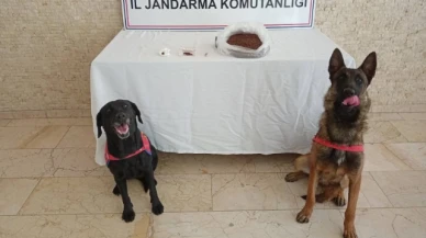 Zehir Tacirlerine Göz Açtırılmıyor!