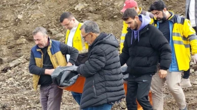 5 gündür kayıp kadın ormanda ölü bulundu