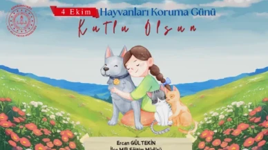 "Hayvanlara karşı duyarlı olmak hepimizin ortak sorumluluğudur"