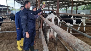 Hayvanların Soy Kütükleri Belirleniyor
