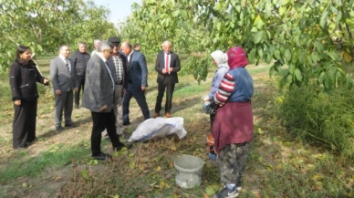 Karaaslan, bahçe ve ceviz üretim tesisini ziyaret etti