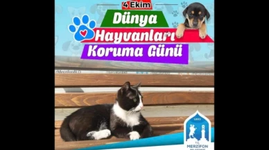Kargı; "Güzel yaşamak onların da hakkı"