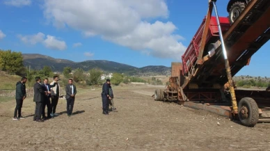Kartal, pancar kantarında incelemelerde bulundu