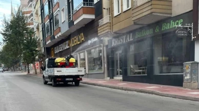 Merzifon'da İlaçlama Çalışmaları Devam Ediyor