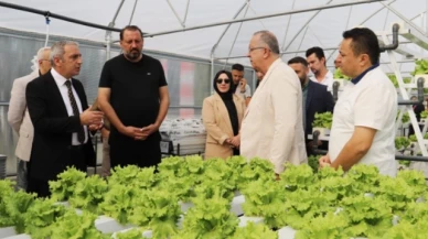 Suluova MYO'da Serada Üretim Başladı
