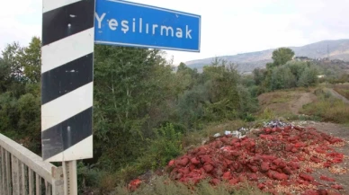 Yeşilırmak Nehri'nin kıyısına çuvallar dolusu soğan ve patlıcan döküldü