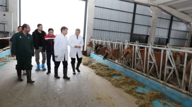 Bakan Gökhöyük Tarım İşletmesi Müdürlüğü'nde incelemede bulundu