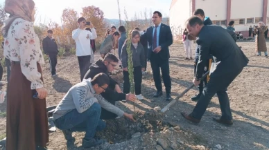 Göynücek'te Öğretmenler Günü anısına fidan dikildi
