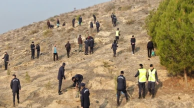 Jandarmadan fidan dikim etkinliği