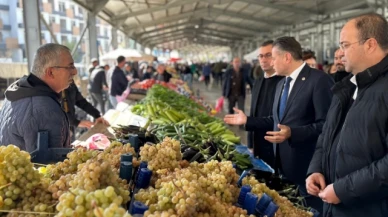 Karagöz Tokat'ta saha çalışmasında