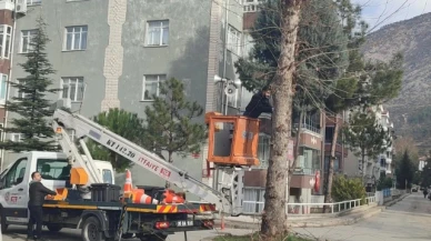 Amasya Belediyesi'nde temizlik çalışmaları devam ediyor