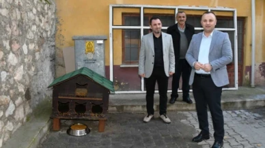 Amasya Belediyesi’nden 20 noktaya kedi evi