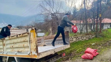 Amasya Belediyesi'nden kömür yardımı