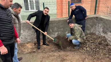 Gökçebağ Köyü'nde fidan dikimi