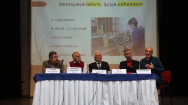 Merzifon Demokrasi Platformu panel düzenledi