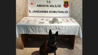 Suluova'da uyuşturucu operasyonu: 1 tutuklama