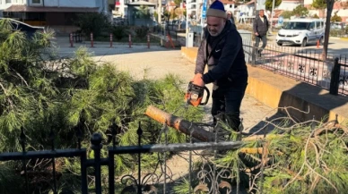 Taşova Belediyesi Çalışmalarına Devam Ediyor