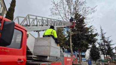 Belediyede Ağaç Budama Mesaisi
