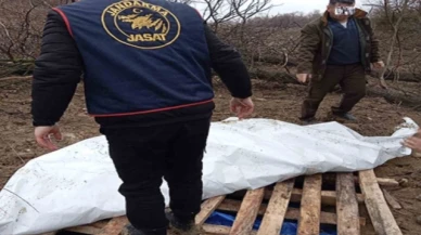 "Traktörüm çalındı" dedi, gerçek bambaşka çıktı
