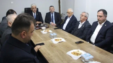 TZOB Yönetim Kurulu Üyesi Kılınç: “Kahverengi kokarca Karadeniz'de evlerin çatısına çıkıyor”