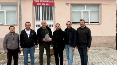 Yeni rota; Yenice Köyü