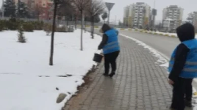 Doğa Hayvanları Unutulmadı