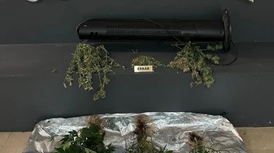 Elbise dolabından kenevir serası