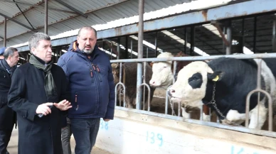 Vali Bakan, Suluova'daki Zennunlar A.Ş. tesislerini inceledi