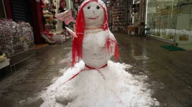 Bu da ‘kardan gelin’