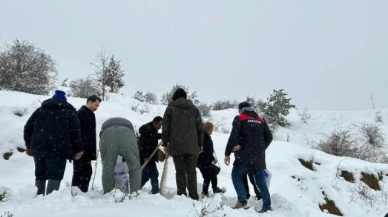 Amasya'da Yaban Hayvanları için Doğaya Yem Bırakıldı