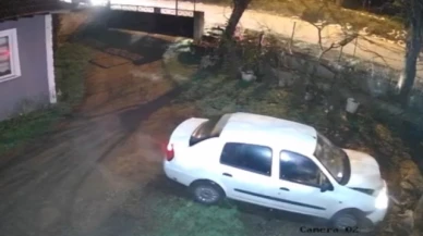 Evin bahçesine uçan araç köpek kulübesini parçaladı