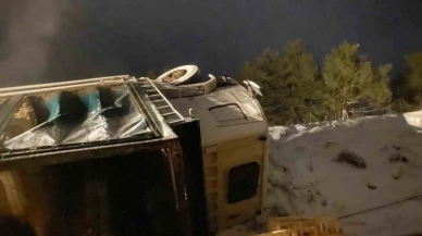 Tavuk yüklü kamyonu devrildi: Yüzlerce tavuk telef