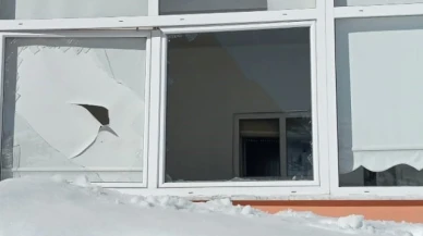 Yiyecek bulamayan ayılar evlere zarar verdi