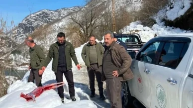 Kaçak avcılar suçüstü yakalandı