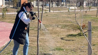 Millet Bahçesi’nde Larva İlaçlaması Yapıldı