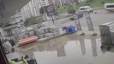 Önce minibüsü ile köpeğin üstünden geçti, sonra hiçbir şey olmamış gibi yoluna devam etti