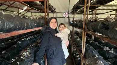 4 çocuk annesinin azmi: Yıllık 35 ton mantar üretiyor, talepleri karşılayamıyor