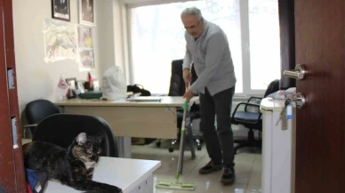 Kedi dostu profesör: Çalışma odasını kedileriyle paylaştı, her gün silip süpürüyor