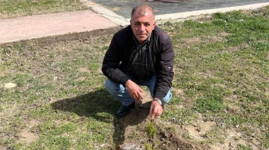 Tarihe Bir Not: Sofular Mahallesi'nde Yeşeren Umut