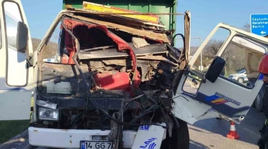 Tavuk taşıyan tır kaza yaptı