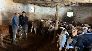 Kızıleğrek’te Hayvan Tespiti ve Kontrolleri Yapıldı