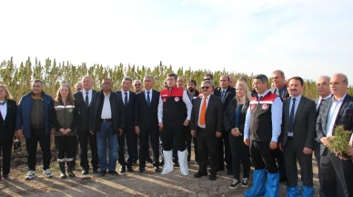 Gökhöyük’te Kenevir Hasadı Yapıldı