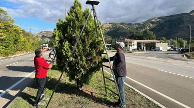 Amasya Belediyesi’nden Şehre Sonbahar Dokunuşu